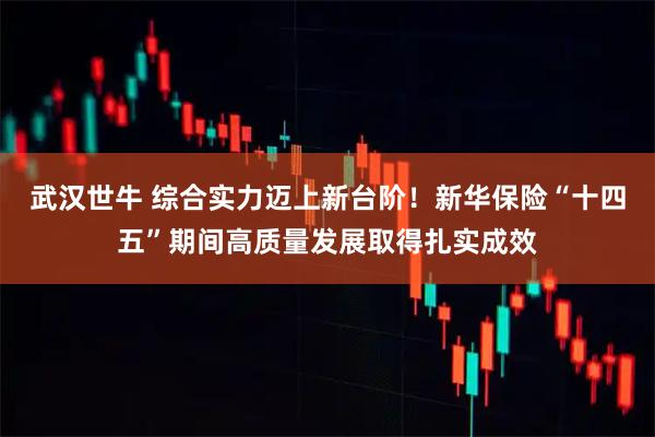 武汉世牛 综合实力迈上新台阶！新华保险“十四五”期间高质量发展取得扎实成效