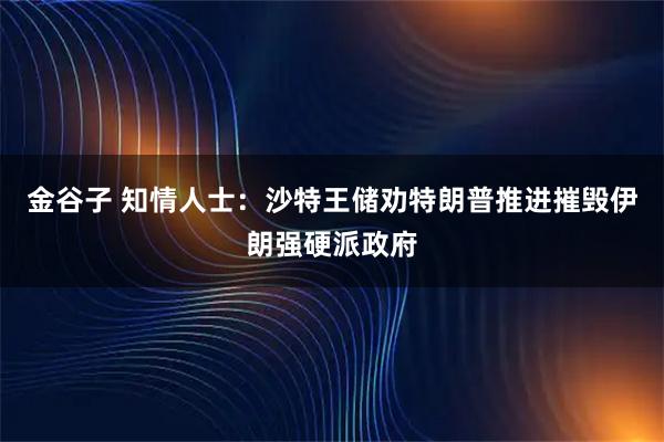 金谷子 知情人士：沙特王储劝特朗普推进摧毁伊朗强硬派政府
