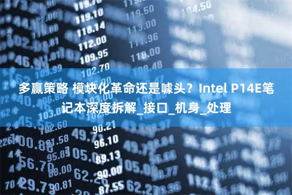 多赢策略 模块化革命还是噱头？Intel P14E笔记本深度拆解_接口_机身_处理