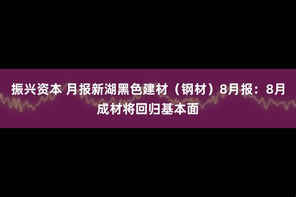 振兴资本 月报新湖黑色建材（钢材）8月报：8月成材将回归基本面