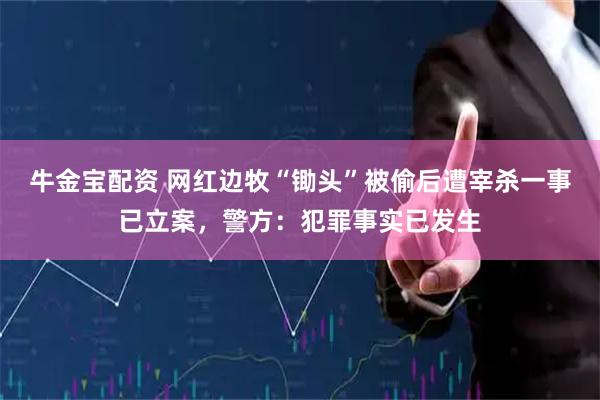 牛金宝配资 网红边牧“锄头”被偷后遭宰杀一事已立案，警方：犯罪事实已发生